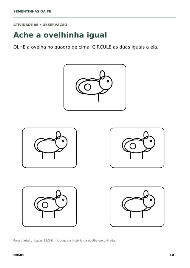 Desafio de observação: encontrar as duas ovelhas iguais à do modelo